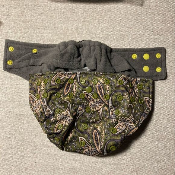 Sweet Cheeks OS Pocket Diaper Double Gusset Green Paisley - Picture 2 of 6